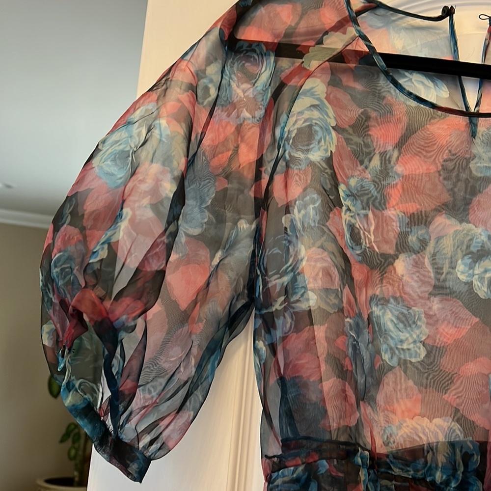 ZARA FLIRAL SHEER DRESS W/BELT - Picture 3 of 10